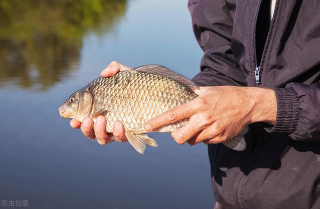 野钓鲫鱼如何选择浮漂的吃铅量？用3点解决问题