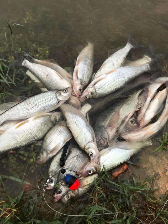 把握目标鱼节奏，不同季节钓不同鱼，做到经常爆护