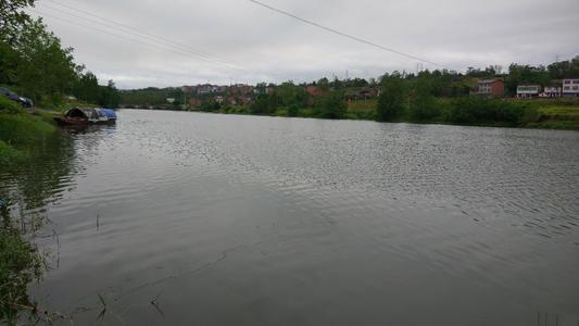 秋雨连连，钓鲢鱼，选择钓底还是钓浮