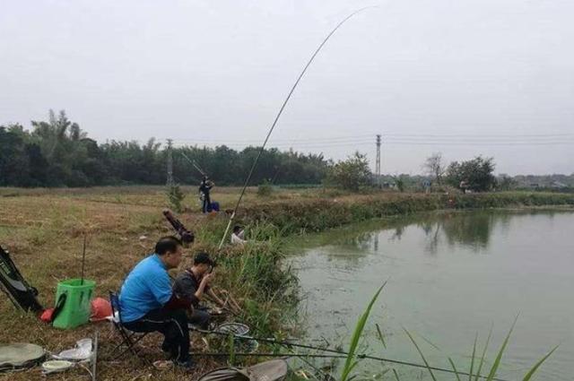 立秋后，万万不能小瞧这鳊鱼钓法