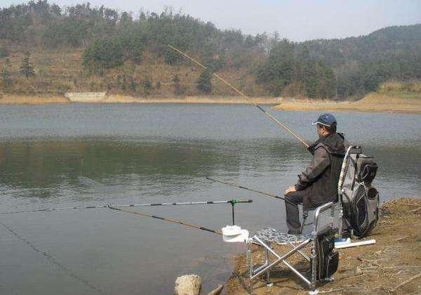 野钓鲤草，找对位置了，渔获自然也就没问题了