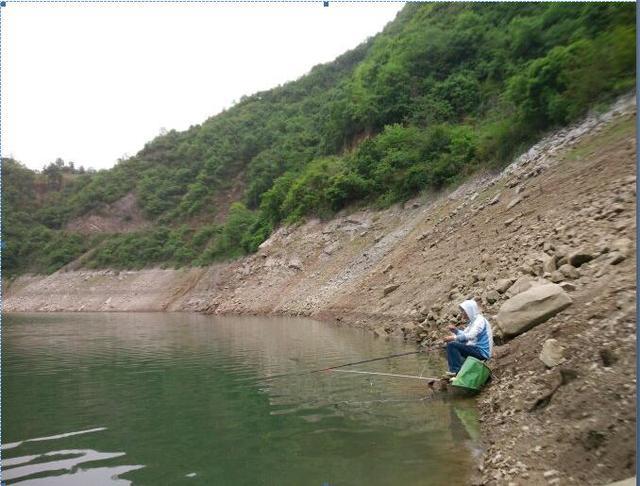 野钓鲤草，找对位置了，渔获自然也就没问题了