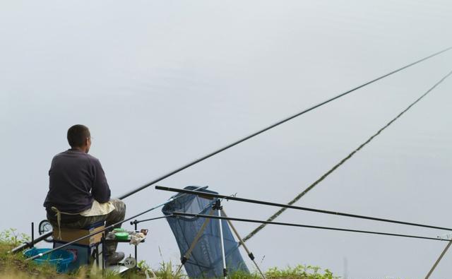 夏季天热野钓总空军，多半是钓位选不对