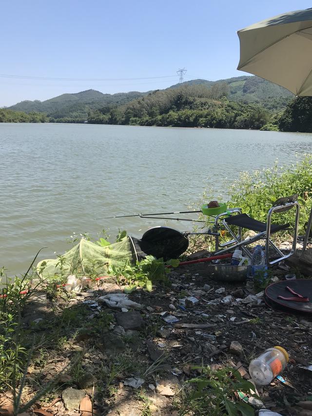 浅谈风向对钓鱼的影响，同种风不同季节表现各异