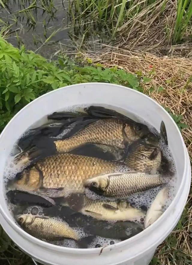 浅谈风向对钓鱼的影响，同种风不同季节表现各异