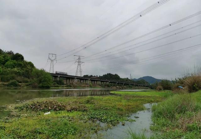 好天气才有好鱼获，了解夏季五种常见天气