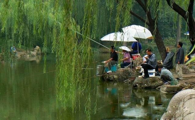 入夏多暖风多走水起伏，这两种思路都能有渔获