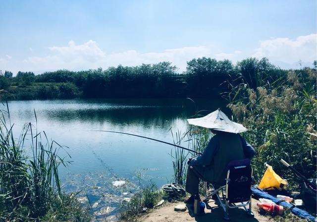 烈日当头夏天鱼难钓！但，这六个地方藏鱼聚鱼