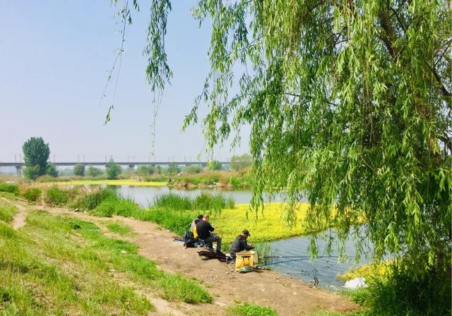 烈日当头夏天鱼难钓！但，这六个地方藏鱼聚鱼