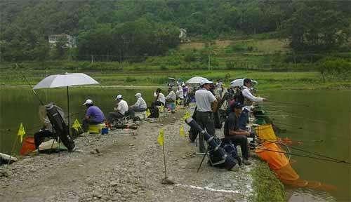 黑坑抢鱼时跑鱼脱钩，和调钓、钩号无关