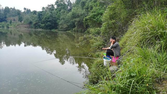 夏季炎热鱼口不好，掌握这几个技巧，夏鱼也不难钓