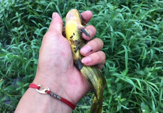 下完大雨河水暴涨，这些地方鱼最多，老钓友都抢着坐