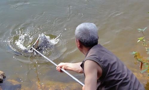 野钓想要上鱼快，钓饵到底应该放在哪