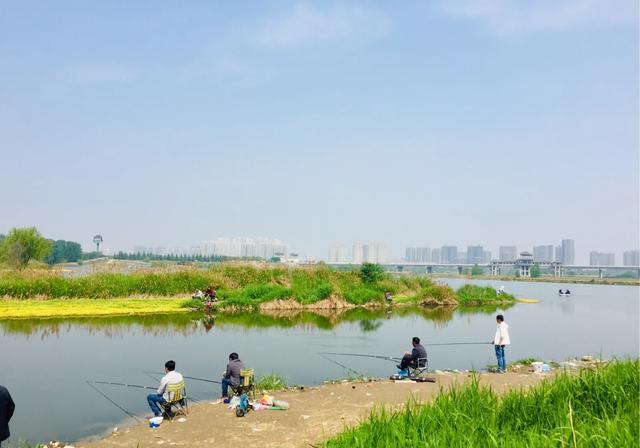 索性将手竿钓鲢鳙之四大要素就此分享