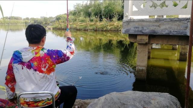 夏季钓鱼，牢记一日三迁，早晚在边