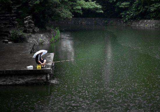 老钓友实操分享: 如何在初夏雨天钓好鱼