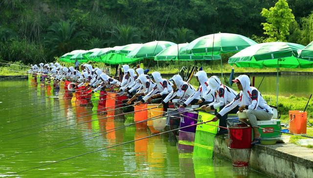 开坑前一天放鱼1000斤，抽干水时却没鱼