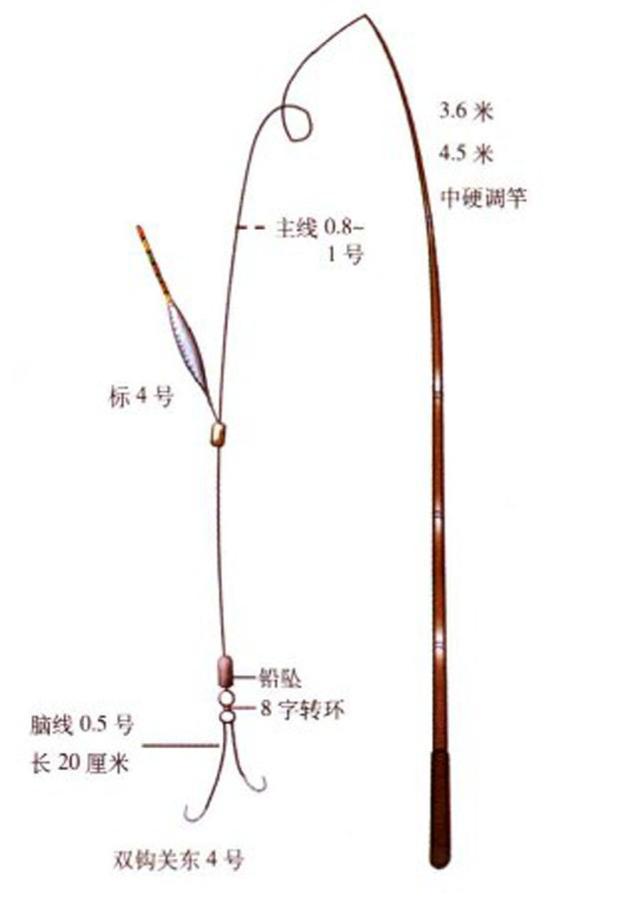 这种颜色艳丽的小鱼叫溪哥该如何垂钓？