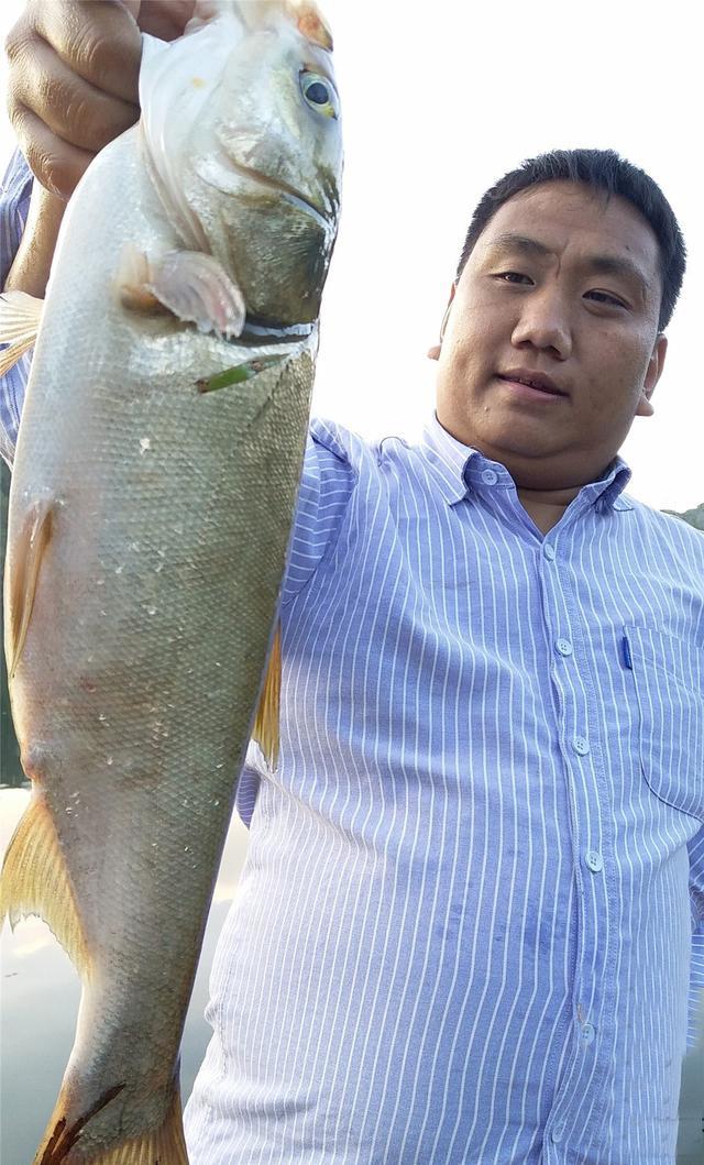 野塘钓鲢鳙全纪录，经验和攻略分享