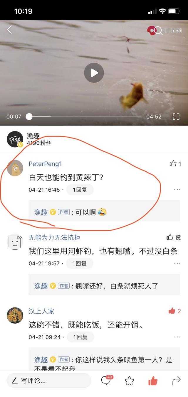 论蚯蚓钓黄颡鱼的正确用法