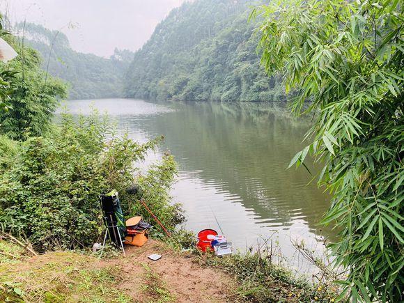 暮春初夏不要选择这几种天气出钓，大概率会打龟！