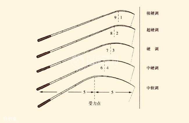 新手买鱼竿怎么选择和检查？