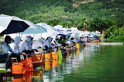 台钓时竿稍入水的原因浅析