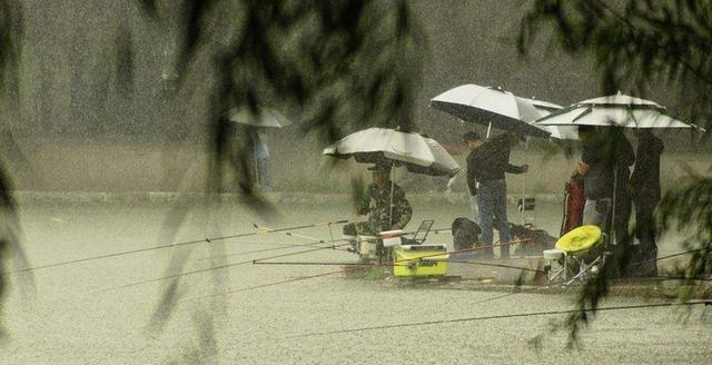 秋天野钓下雨天的4个技巧，学好小白也上鱼