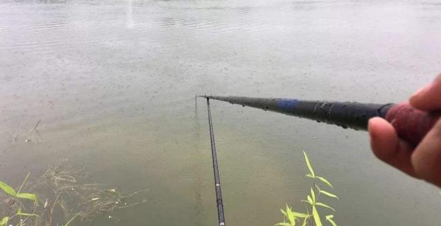 秋天野钓下雨天的4个技巧，学好小白也上鱼