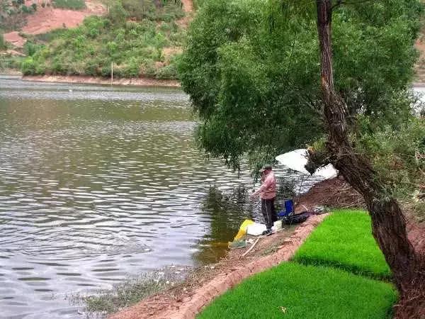 风天垂钓大都选择迎风下钩，何故？