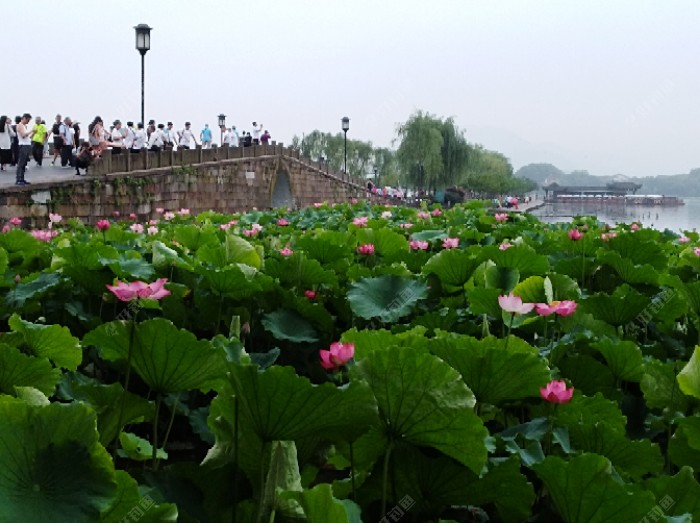 梅雨季节一怎么钓好鱼