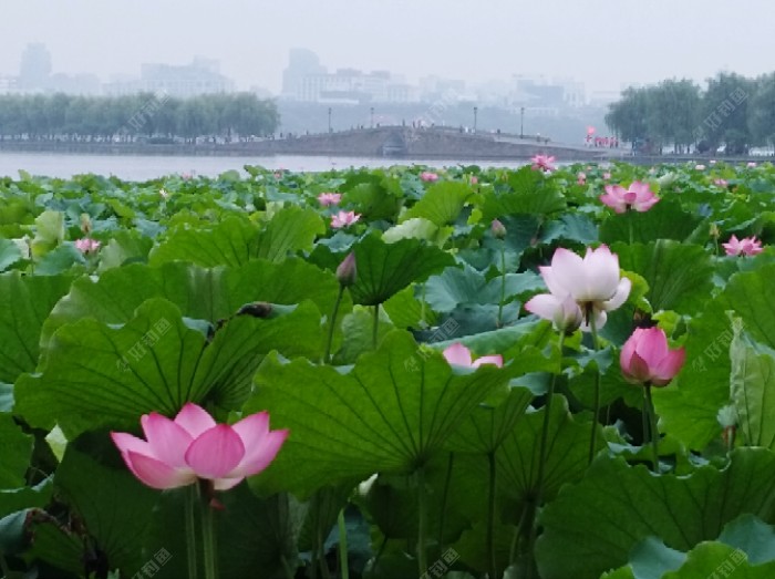 梅雨季节一怎么钓好鱼