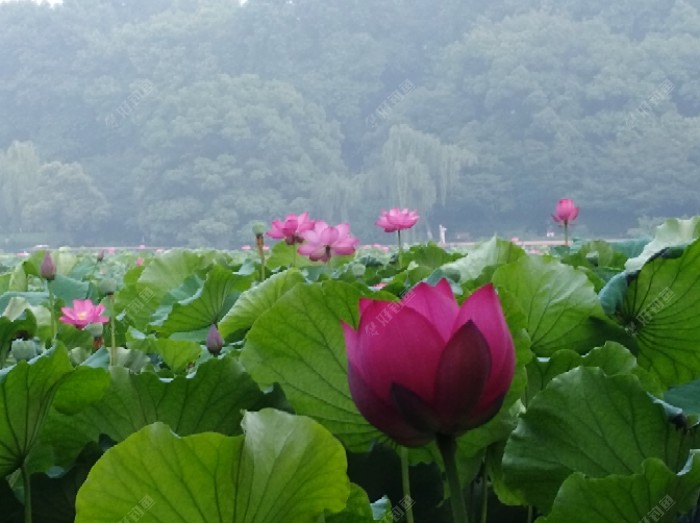 梅雨季节一怎么钓好鱼