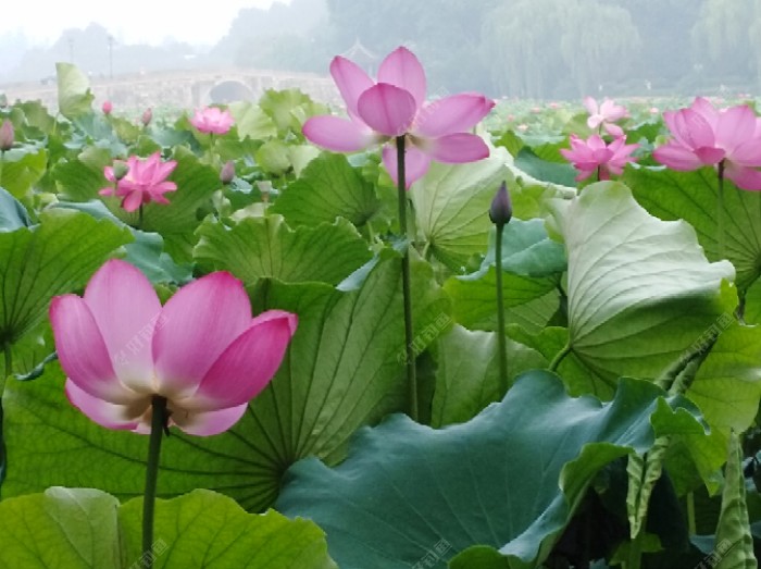 梅雨季节一怎么钓好鱼