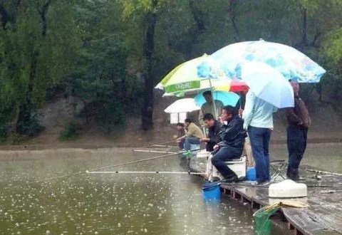 钓友才有体会！钓鱼不易啊 钓鱼有三要点