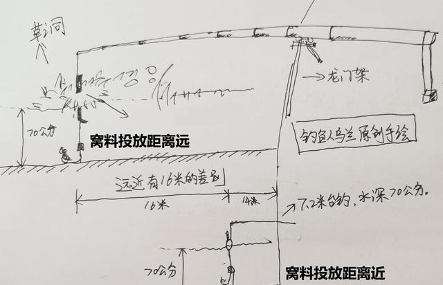 鱼在远处是天性还是被迫？解读鱼类行为，来启发