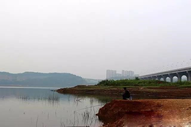 下暴雨时最好还是不要钓鱼，暴雨后就要抓住机会了