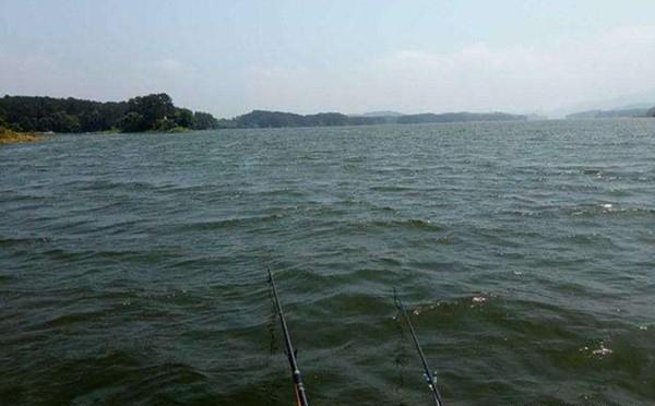 夏季宜钓刮风、下雨天，有哪些应对技巧