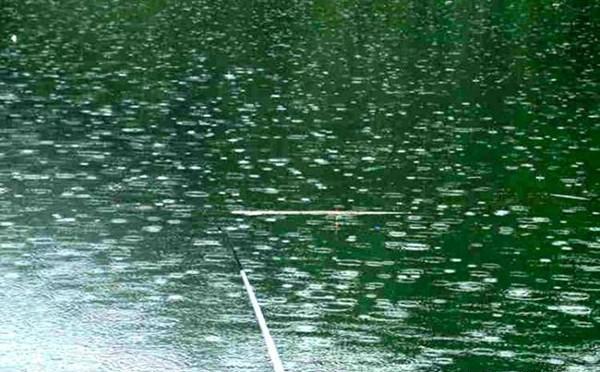 夏季宜钓刮风、下雨天，有哪些应对技巧