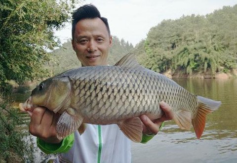 季节在变，鱼情也在变，天气对鱼的影响在那呢？