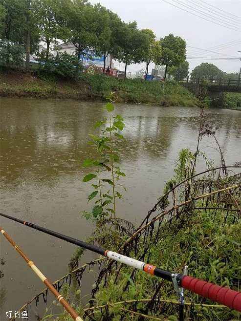 雨天钓鱼怎么钓？把握好鱼儿活跃的短暂时间