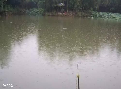 雨天钓鱼怎么钓？把握好鱼儿活跃的短暂时间