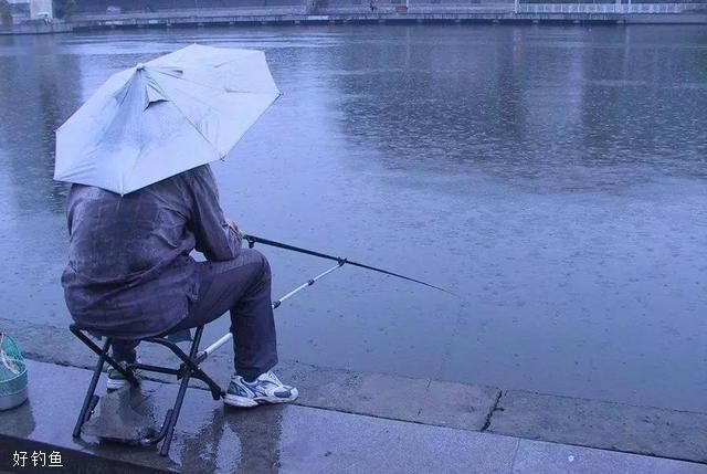 雨天作钓四个小技巧，学会就是真的风雨无阻