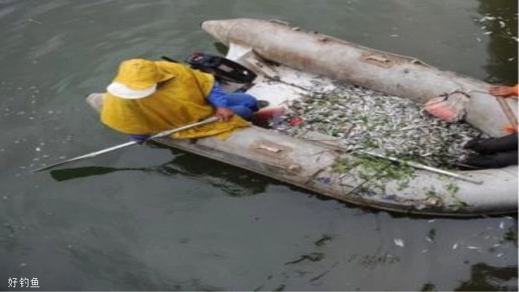 一波来自老钓友分享的水溶氧量的知识，我收下了