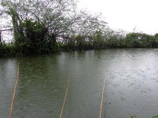 夏季雨天钓鱼，该如何选钓位？