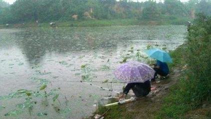 夏季雨天钓鱼，该如何选钓位？