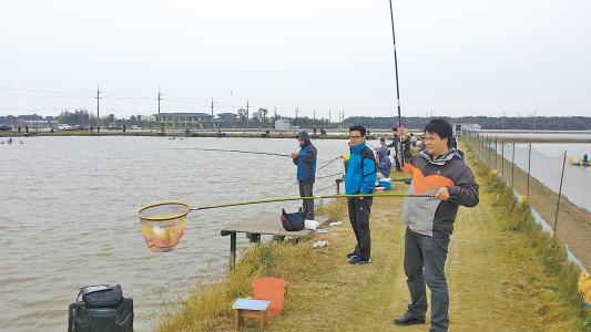 小崔解读：温度、活性、食量对垂钓的影响