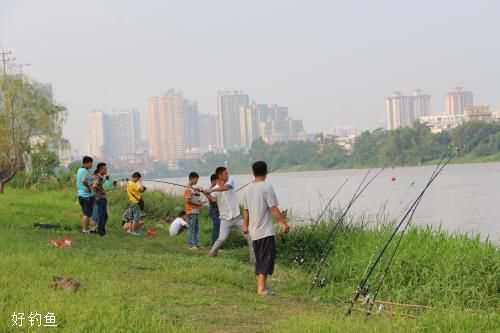 小崔解读：温度、活性、食量对垂钓的影响