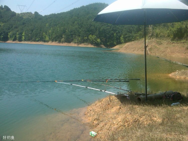 季节和天气对垂钓的影响，选对出钓时机才能爆护