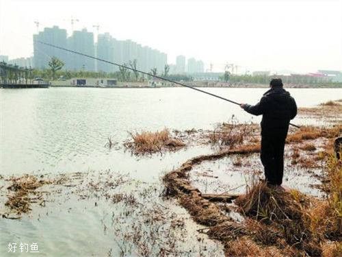 为什么冬天晴天钓鱼还空军？